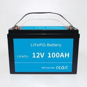lifepo4 litium järnfosfat batteripaket 12v 100ah med bms för RV elbil skoter