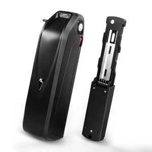 Hailong elektrisk skoter ebike batteri 48V 15Ah