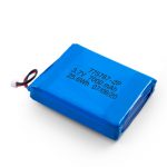 Anpassad 3.7V 2450 2600 3900 4000 4500 4700 5000 6000 9000Mah Polymer Lipo-batteri